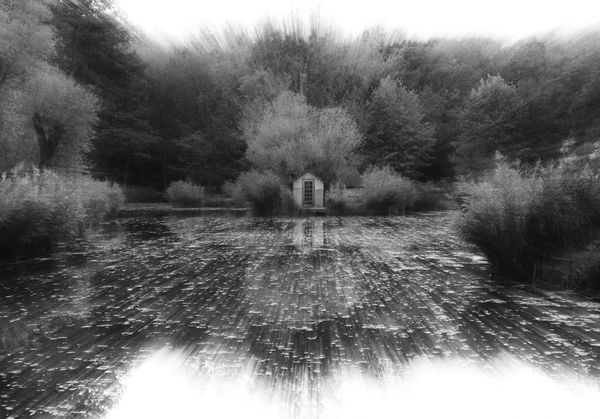 A természet vonzásában