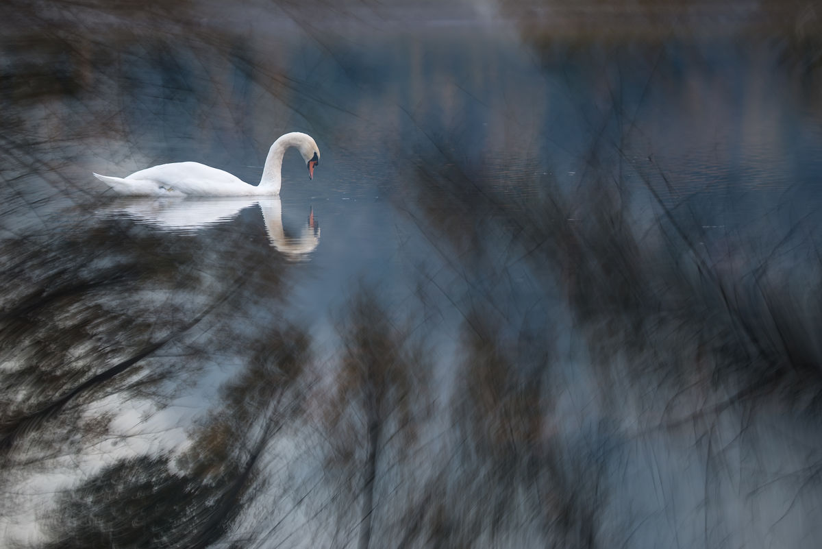 Darányiné Bakos Éva