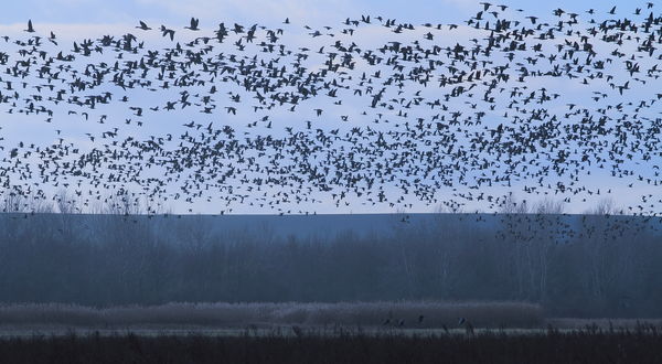 Telített légifolyosók