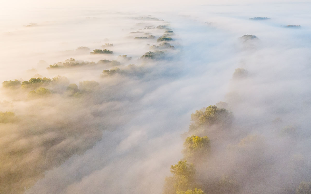 Koncz-Bisztricz Tamás