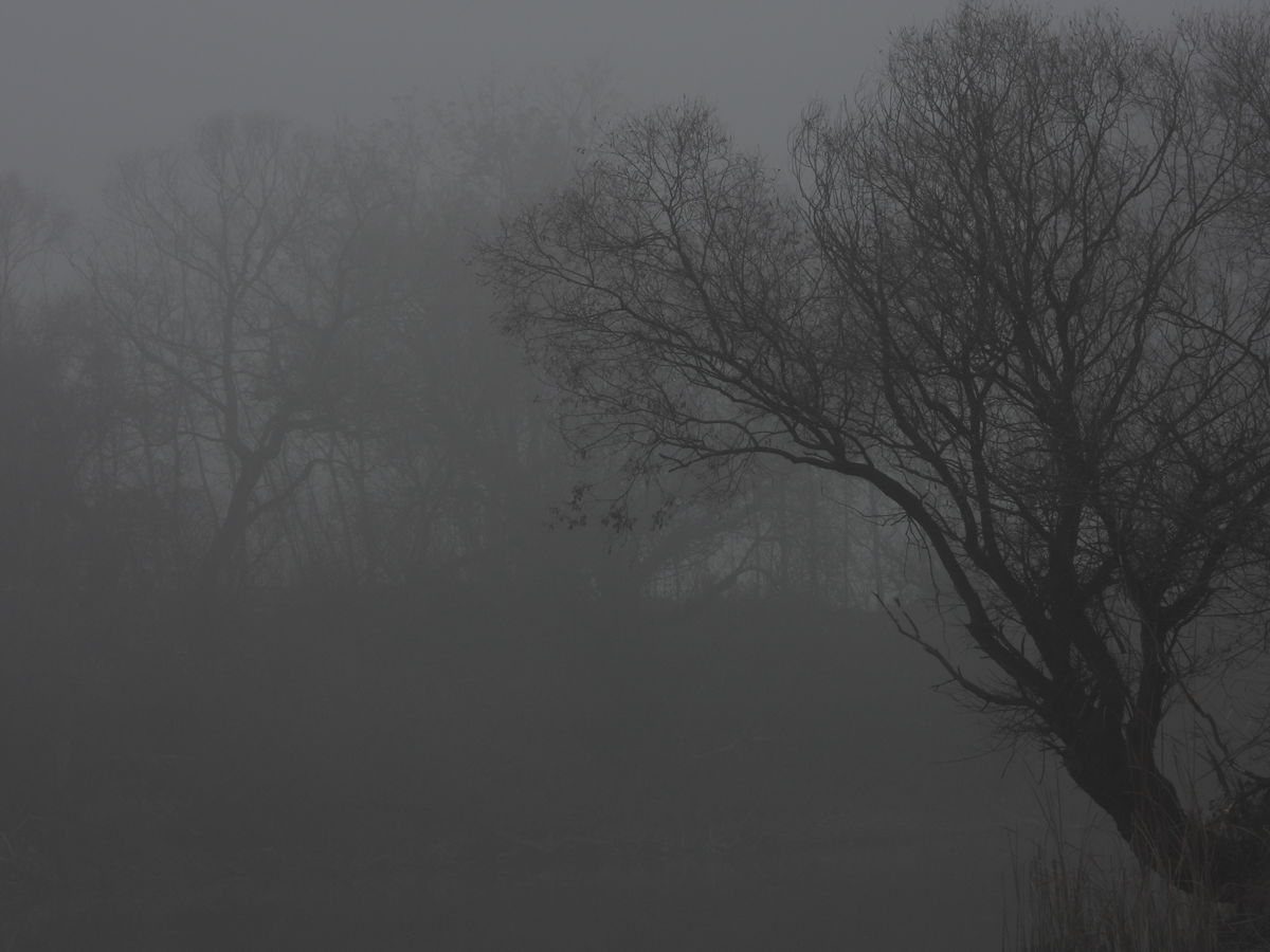 Kónya Máté Bertalan