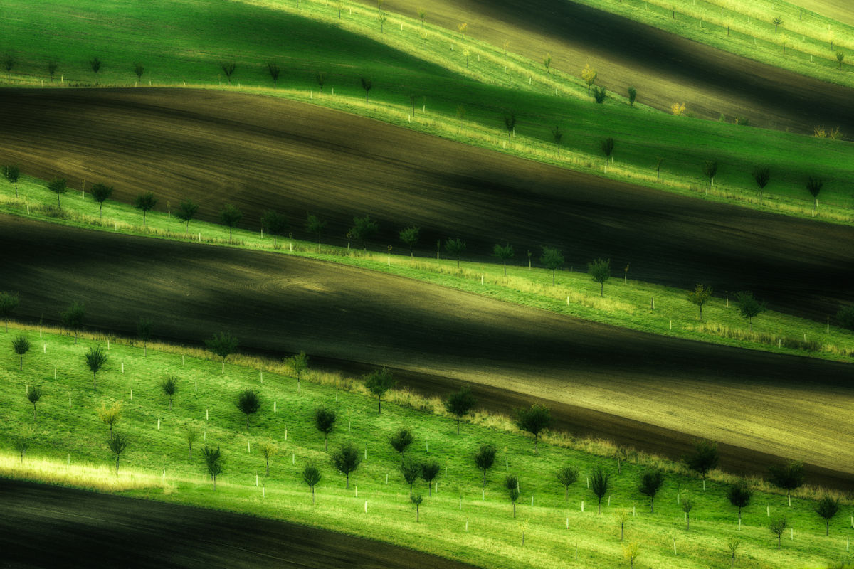 Szakolczai Krisztina