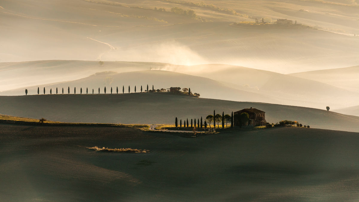 Szakolczai Krisztina