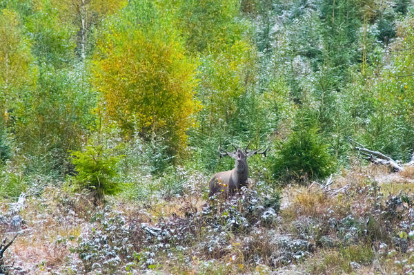Szeptemberi havas tájban