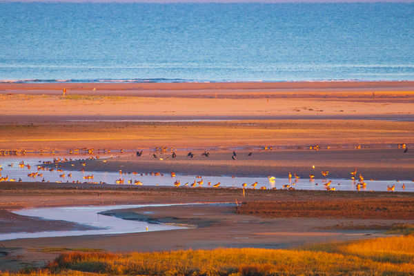 Kilátás a tengerre