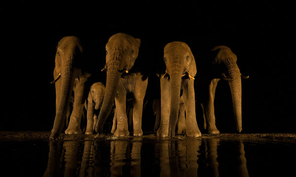 Éjszakai iszogatás