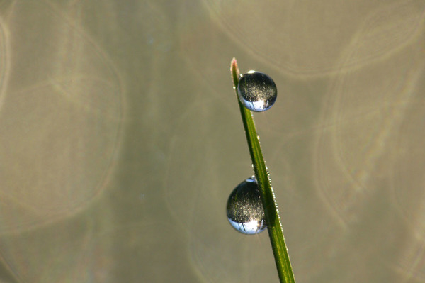 Egy csep,két csepp...