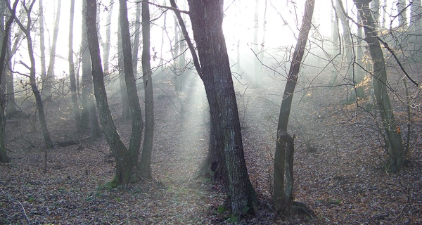 A látható láthatatlan