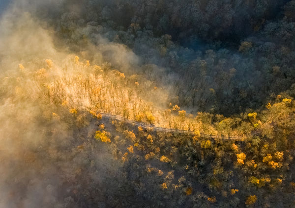 Ha ősz akkor sárga