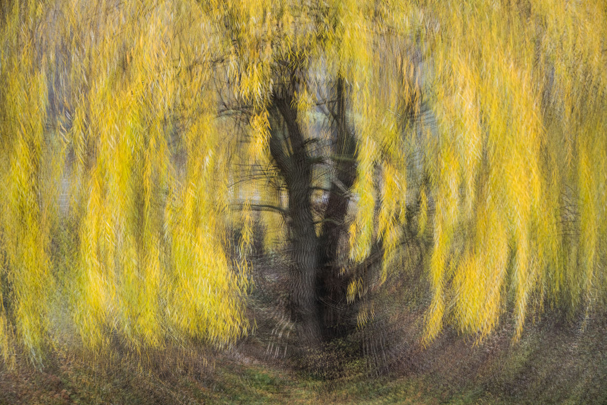 Szakolczai Krisztina