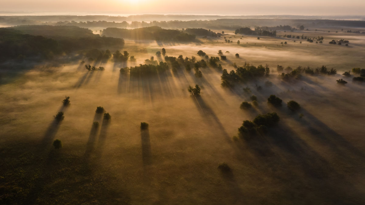 Szakolczai Krisztina