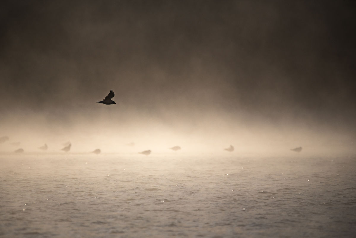 Darányiné Bakos Éva