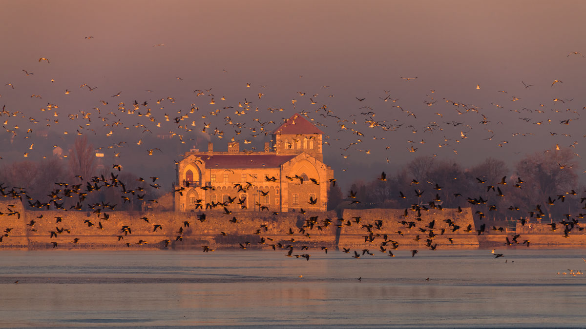 Szakolczai Krisztina