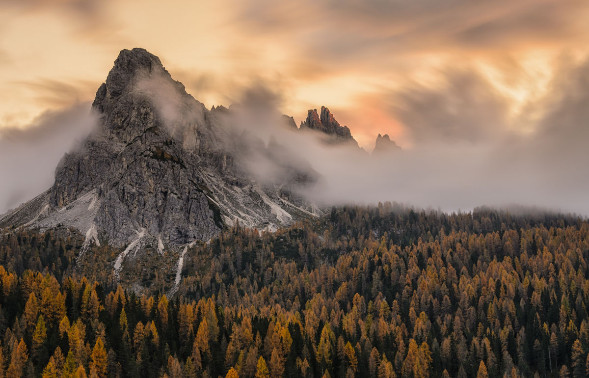 Szakolczai Krisztina