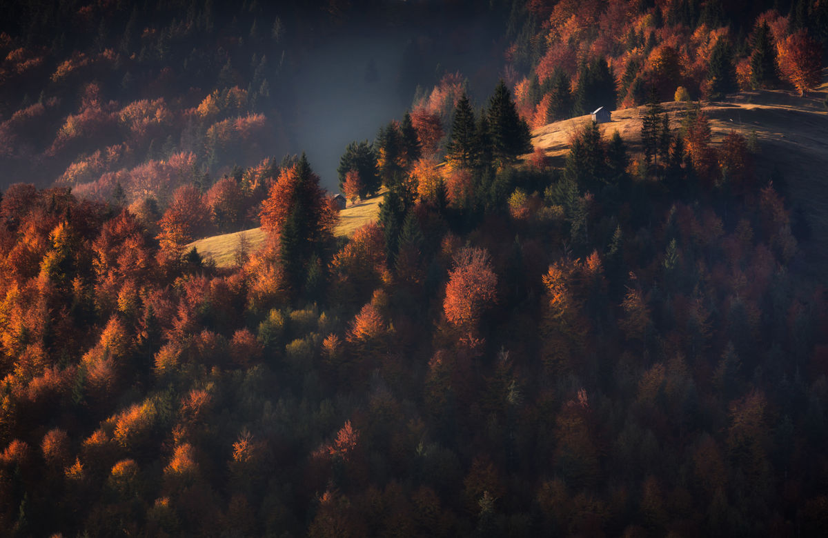 Szakolczai Krisztina