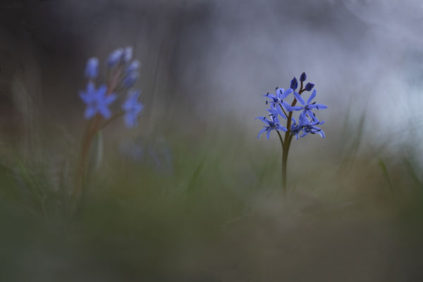 Csillagok, csillagok