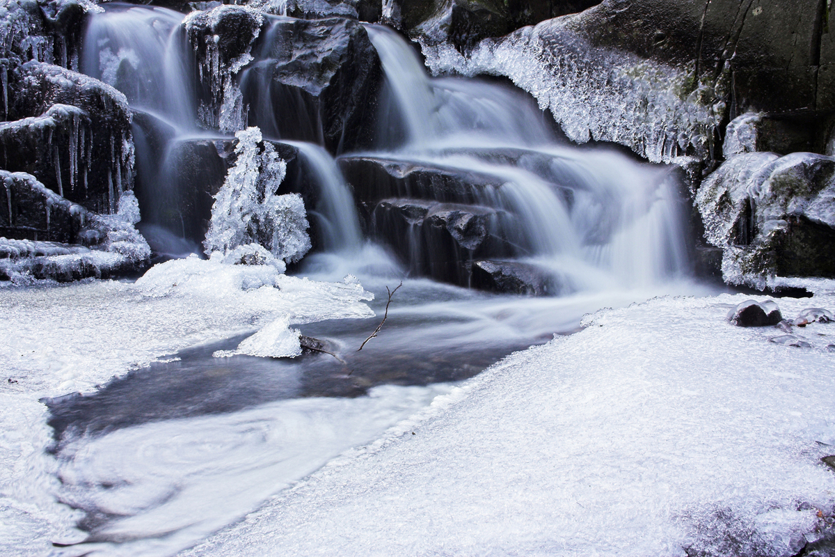 Sándor-Tóth Zsuzsanna