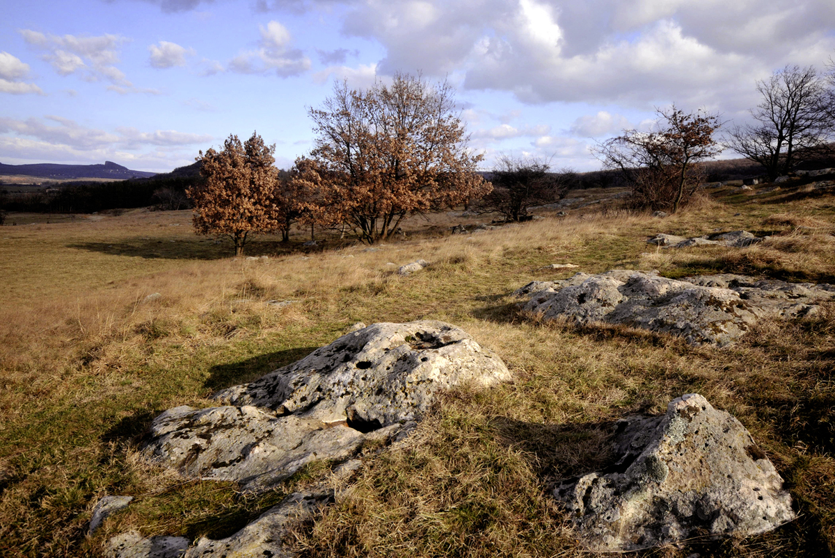 Gaál Zoltán Péter