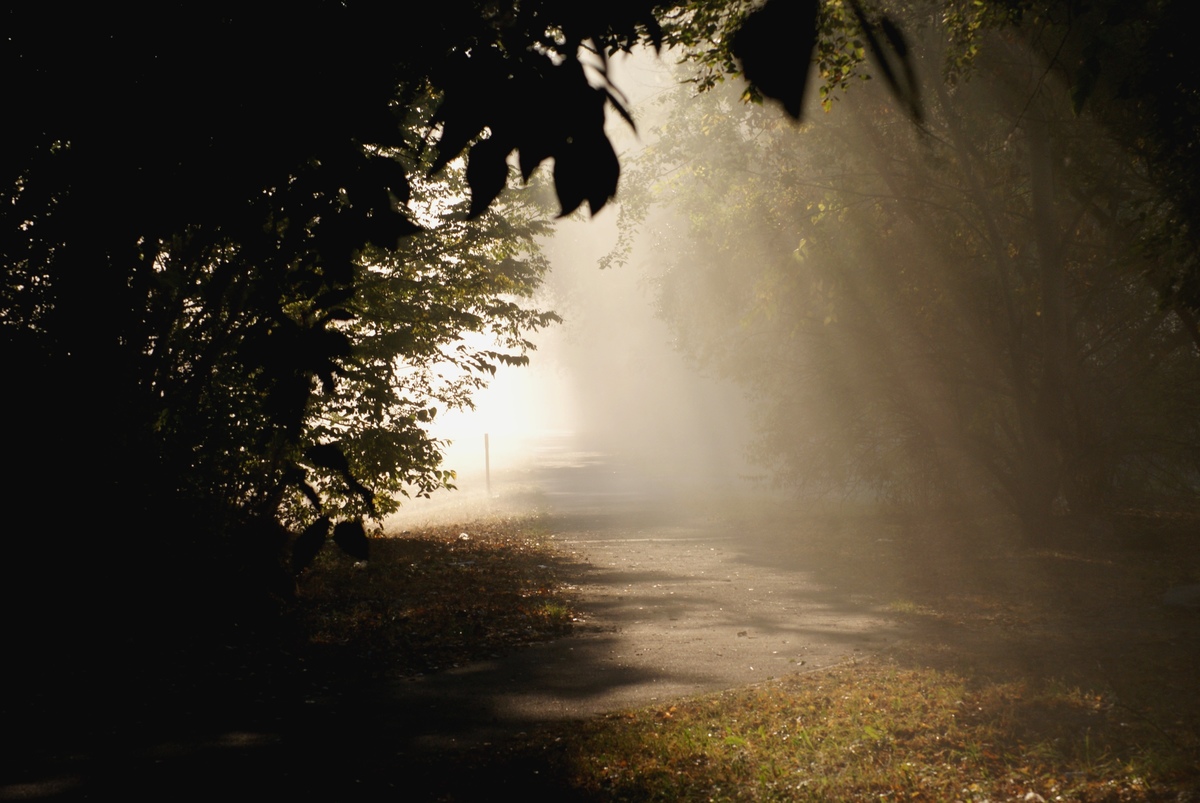 Laczkó-Magyar György
