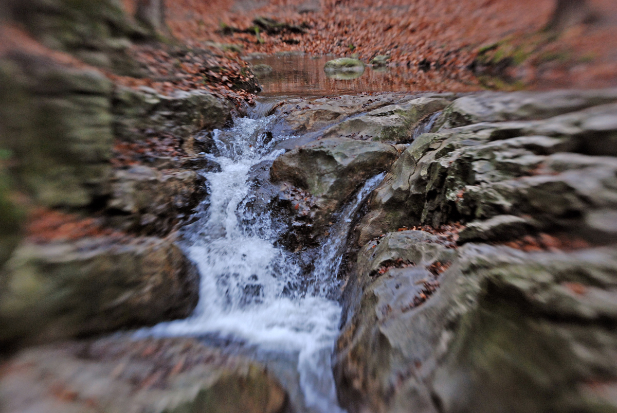 Gaál Zoltán Péter