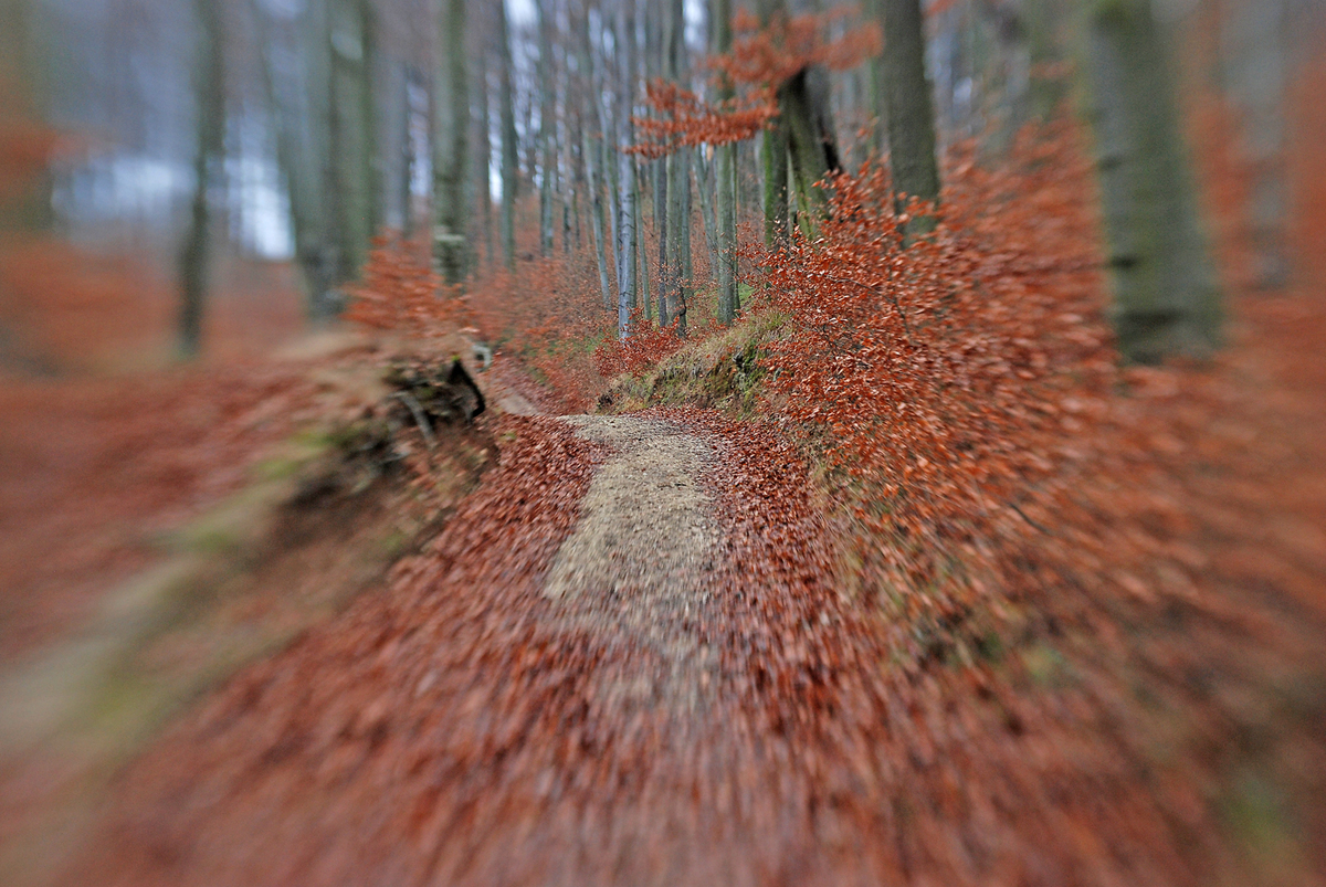 Gaál Zoltán Péter