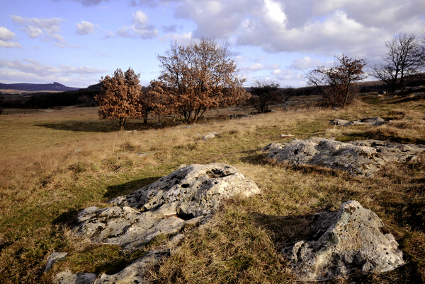 Lávakövek és a hegyestű