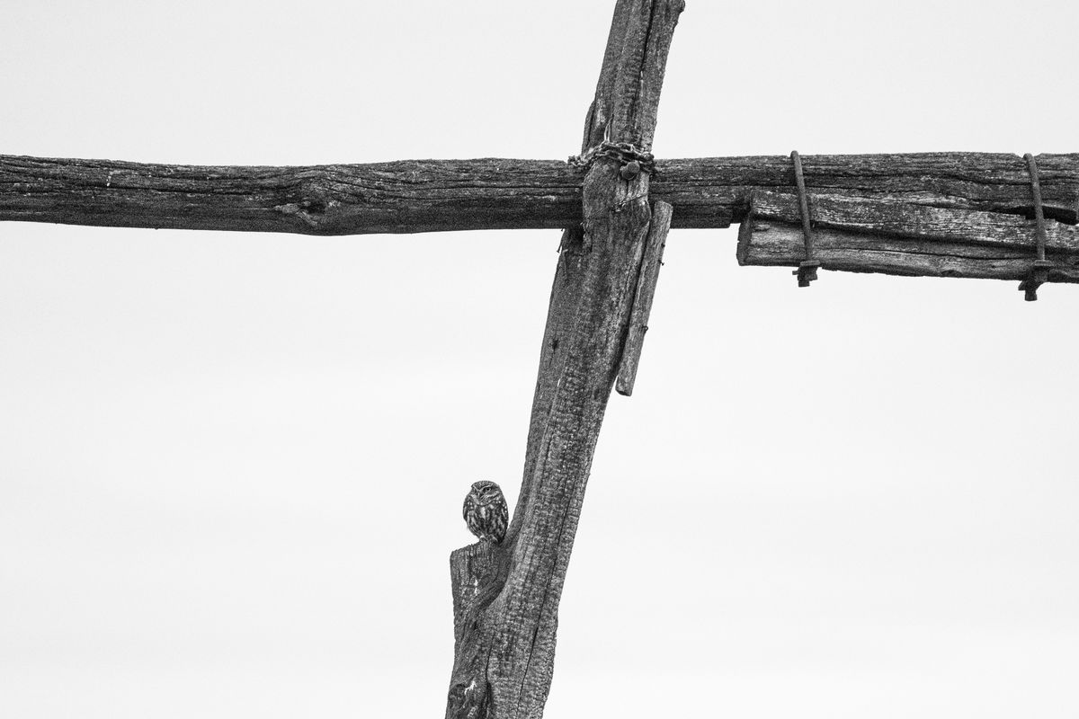 Gémné Kovács Anita