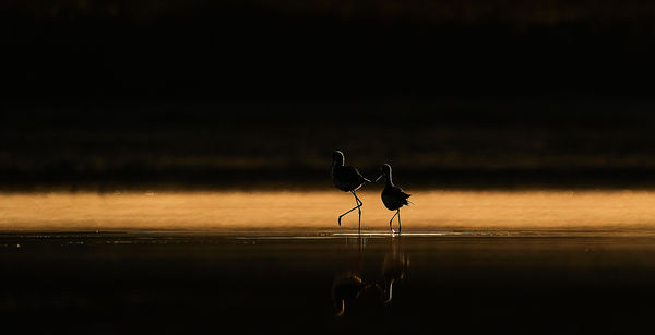 Romantikus séta a tóparton