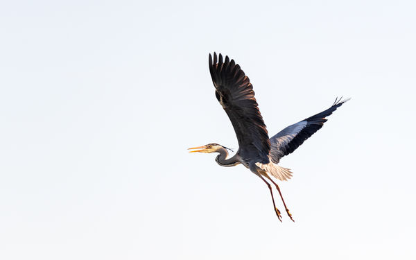 Mennyből az angyal!?