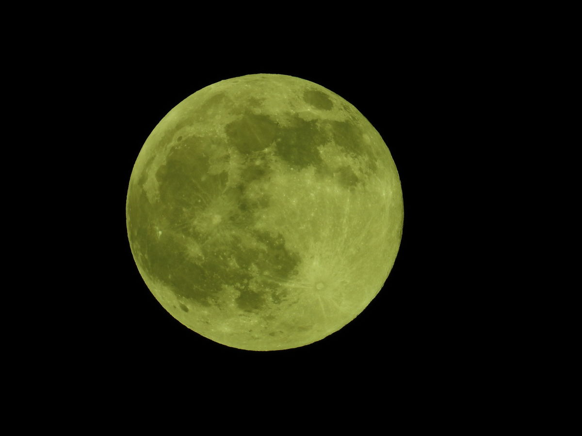 Kónya Máté Bertalan