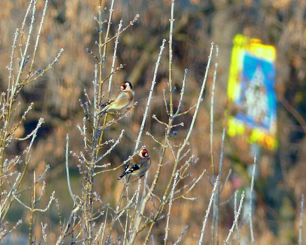 Na most merre menjünk?