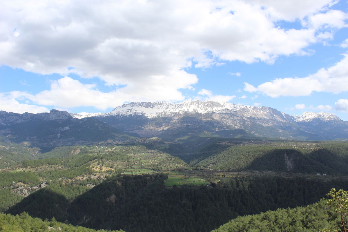 Schubkégel Krisztina