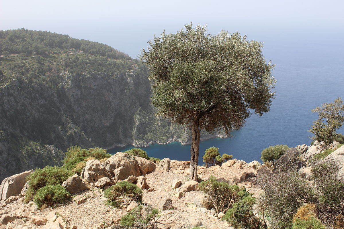 Schubkégel Krisztina