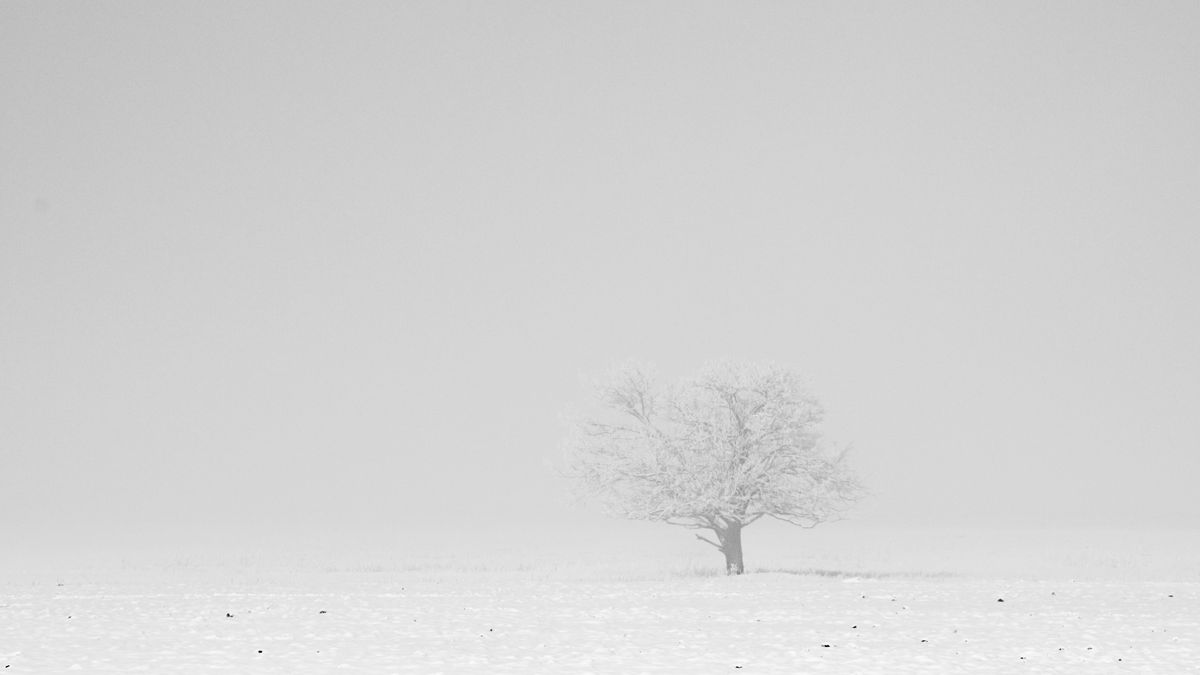 Gémné Kovács Anita