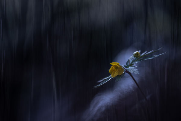 A sötétség varázsa