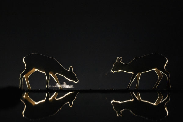 Találkozó az éjszakában