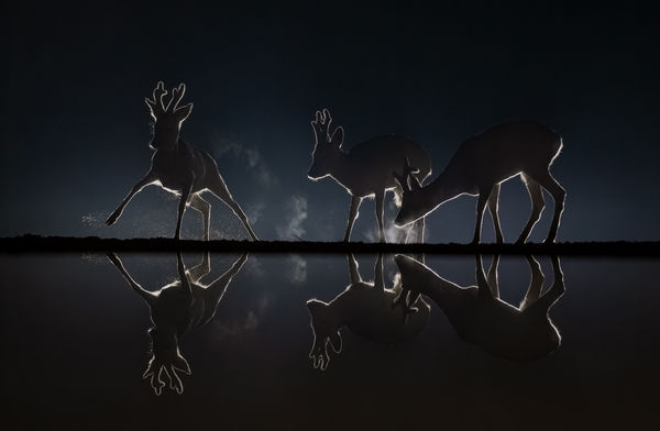 Legénye egymás között