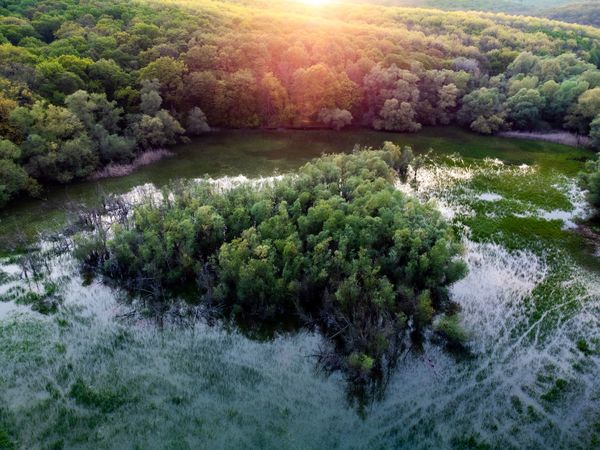 Szigetlakók nyomában