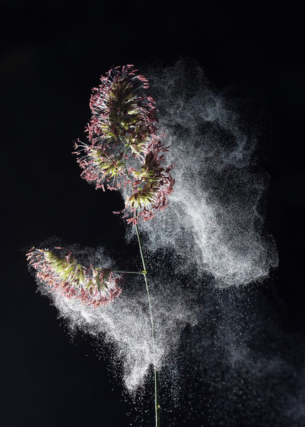 Galaxisok születése