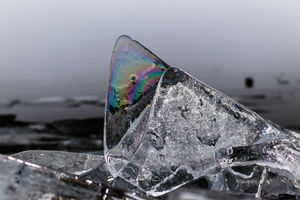 Szürke nap szivárványa Szürke nap szivárványa