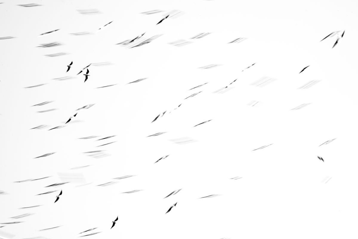 Darányiné Bakos Éva