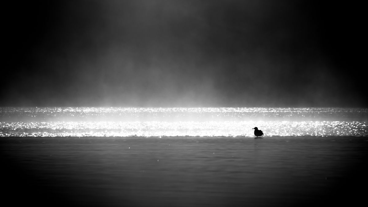 Darányiné Bakos Éva