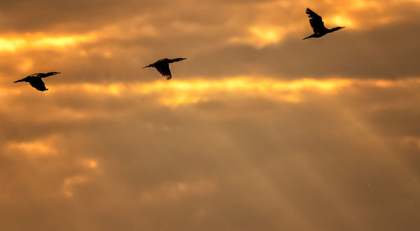 A felhők fölött 3 méterrel