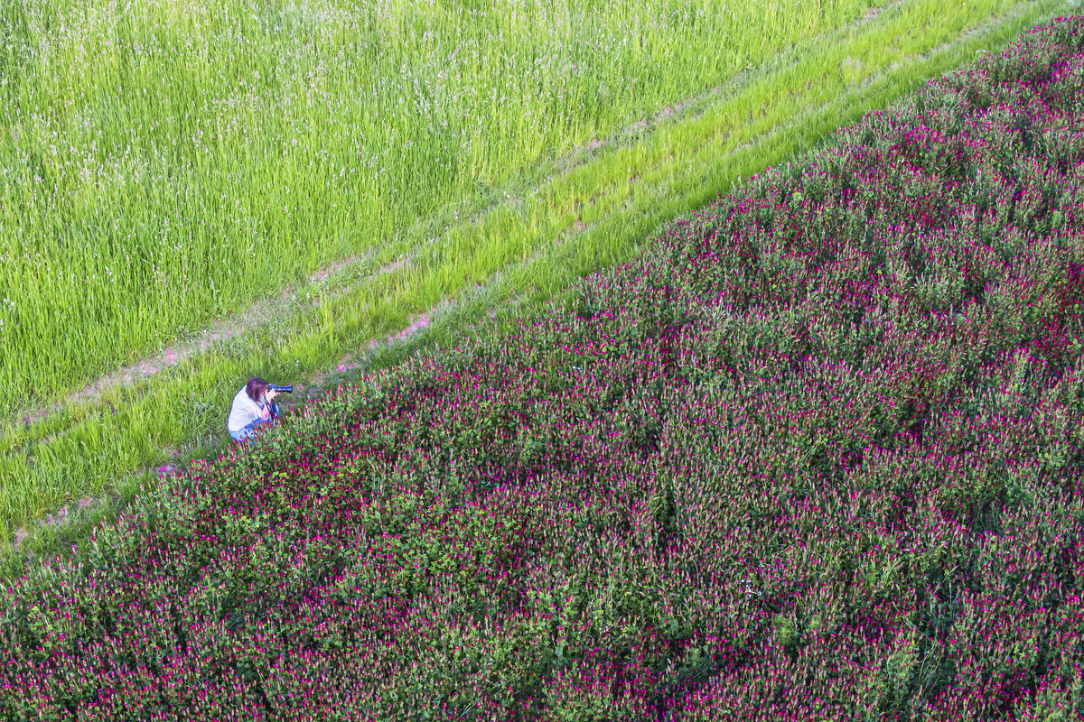 Gaál Zoltán Péter