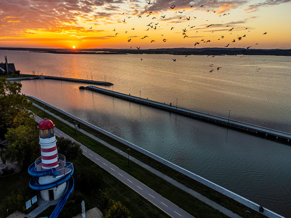 Madarak a kikötőben