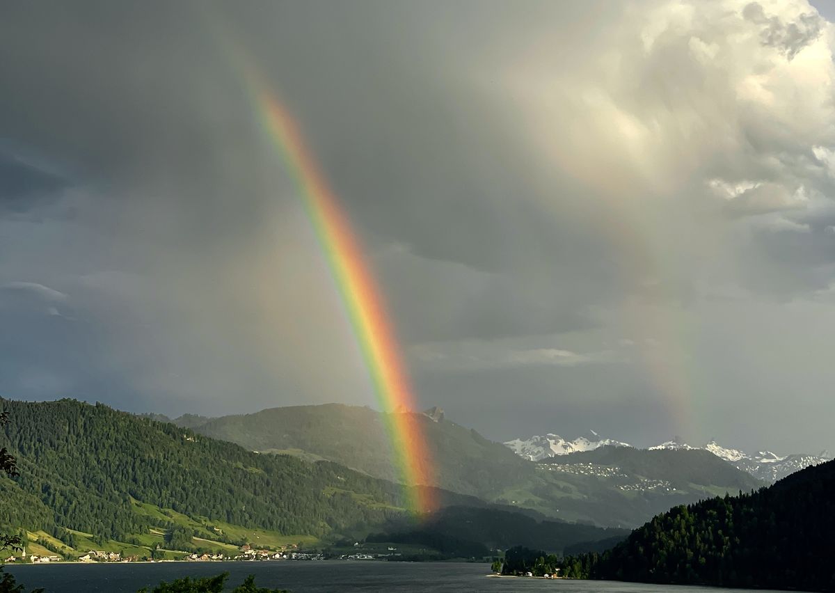 Presztolánszky Ágnes