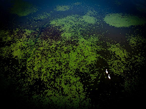 Vacsorához megterítve