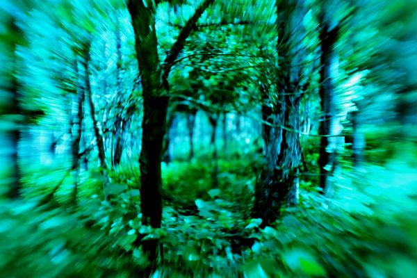 "Szél hozott,szél visz el.."