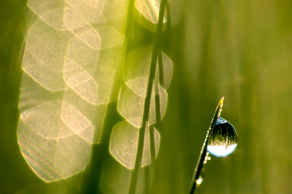 Két világ határán