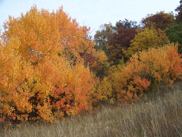 Ilyen szín nincs is